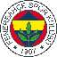 Fenerbahçe Token Logo