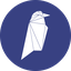 Ravencoin RVN 标志