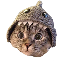 Shark Cat Logo