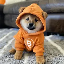 Dog (Bitcoin) Logo