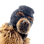 Ski Mask Dog SKI 标志