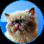 Mr Miggles MIGGLES 标志