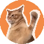CatSlap Logo