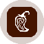 Chipotle Tokenized Stock (Ondo) Logo