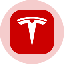 Tesla Tokenized Stock (Ondo) TSLAon 标志