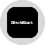 Blackrock, Inc. Tokenized Stock (Ondo) BLKon 标志