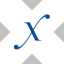 Direxion Semiconductor Bull 3X tokenized ETF (xStock) SOXLx 标志
