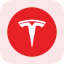 Tesla Tokenized Stock (Reality) rTSLA 标志