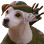 WISHBONE WISHBONE 标志