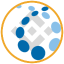 Credo Technology Tokenized bStocks Logo
